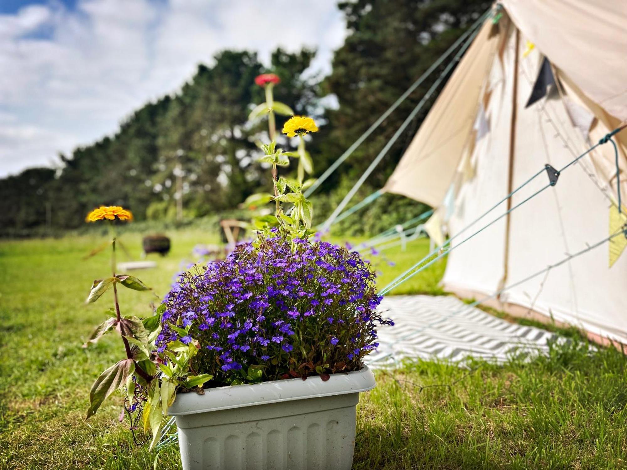Trevena Cross Glamping & Camping Helston Zewnętrze zdjęcie